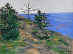 Weathered Trail Along the Maine Coast